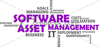 word cloud - software asset management