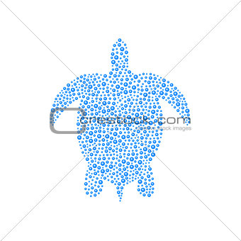 Turtle in blue design