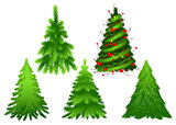 Set green Christmas fir pine tree