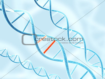 DNA structure with problem element