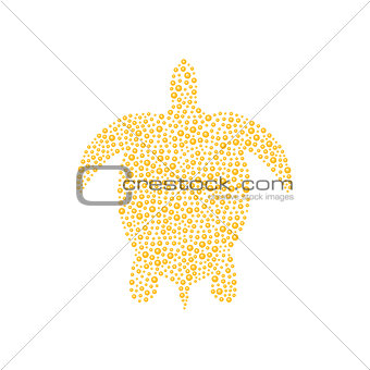 Turtle in orange design