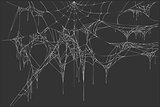 White spiderweb on black background
