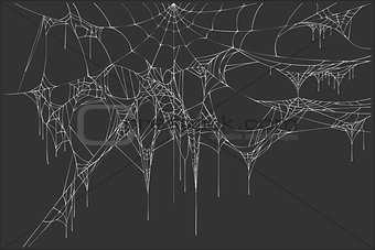 White spiderweb on black background