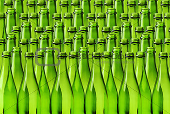 Rows of Empty Bottles
