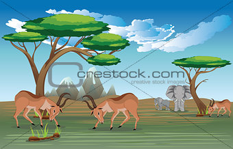 Landscape with Antelopes
