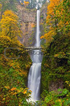 Multnomah Falls in Fall Season Colors