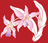 Branch of orchid flower with green leaves, Paper cut Illustratio