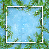 Christmas background with fir tree branches