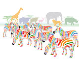 Colorful zebras in the savanna