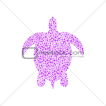 Turtle in purple design
