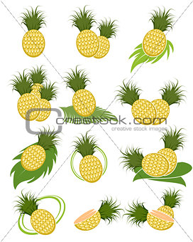 Different variants of pineapples