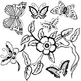 Butterflies and Floral Branch