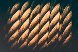 Grunge rope background