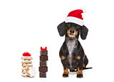 santa claus dog on christmas holidays
