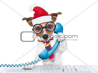 dog office worker on christmas holidays
