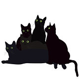 Black cats with green eyes