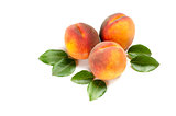 peaches on a white background
