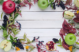 autumn background of leaves, fruits and berries
