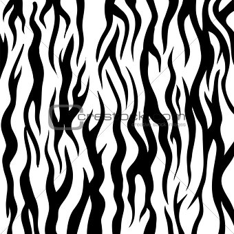 Zebra Pattern. Black and White Animal Background