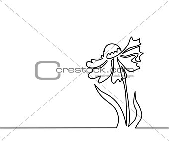 Drawing of beautiful flower