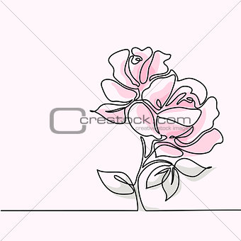 Drawing of beautiful pink rose flower