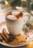 Cup of hot cocoa with marshmallows
