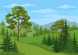 Mountain Landscape with Trees