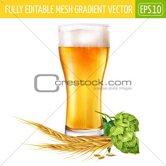 Glass of beer and hops on white background. Vector illustration