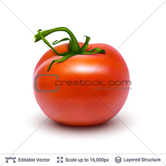Tomato isolated on white.