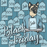 Vector illustration of cat on Black Friday