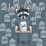 Vector illustration of raccoon on Black Friday