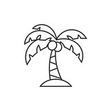 Palm tree line icon