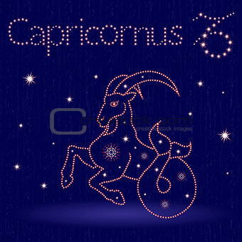 Zodiac sign Capricornus