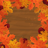 Frame with autumn colorful leaves