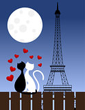 Cats and Eiffel tower
