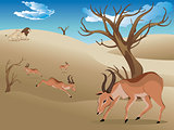 Landscape with Antelopes