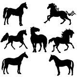 black horse silhouette clipart. vector illustration