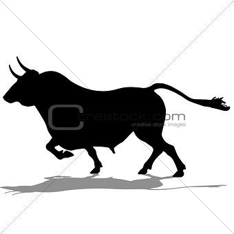 Silhouette of a cow. vector bull or buffalo