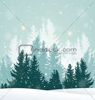 Winter snowy landscape with fir tree