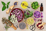 Herbal Medicine Preparation