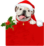 Christmas English bulldog 