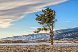 One green pine tree and pebbles with clouds near lake Baykal and mountain