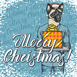 Vector illustration of cat on Christmas with gift