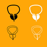 The prostate gland and bladder set icon.