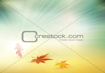 Abstract autumn, fall leaves blurry background