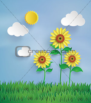 Sun flower in the field.