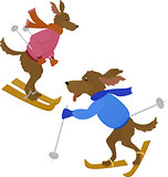 Two sport Dog symbol 2018.Cartoon vector dog