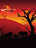 African Sunset with Elephant