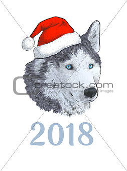New Year 2018 congratulation card. Husky dog in Santa claus hat. Portrait Engraving colorful hand drawing image isolated on white background.