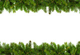 Evergreen branches on white